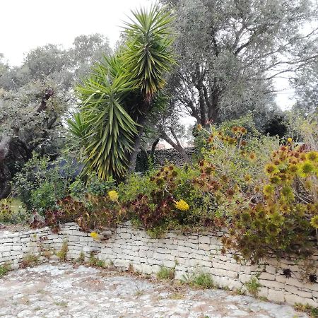 Bonifacio, Maison 90M² Sous Les Oliviers, Vue Sardaigne Bonifacio  Εξωτερικό φωτογραφία