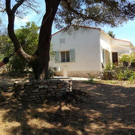 Bonifacio, Maison 90M² Sous Les Oliviers, Vue Sardaigne Bonifacio  Εξωτερικό φωτογραφία