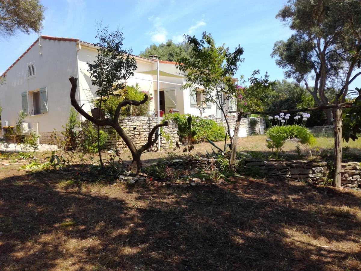 Bonifacio, Maison 90M² Sous Les Oliviers, Vue Sardaigne Bonifacio  Εξωτερικό φωτογραφία