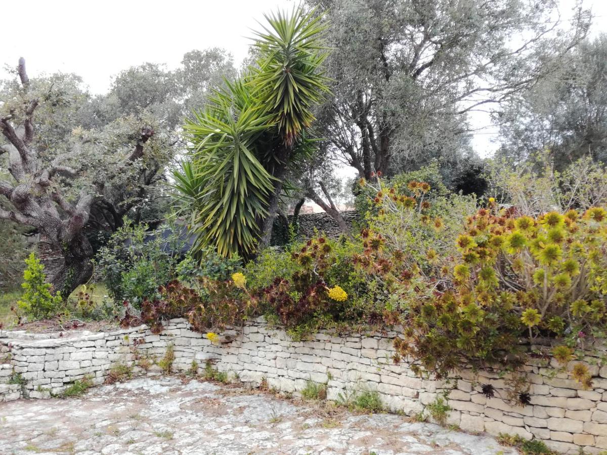 Bonifacio, Maison 90M² Sous Les Oliviers, Vue Sardaigne Bonifacio  Εξωτερικό φωτογραφία